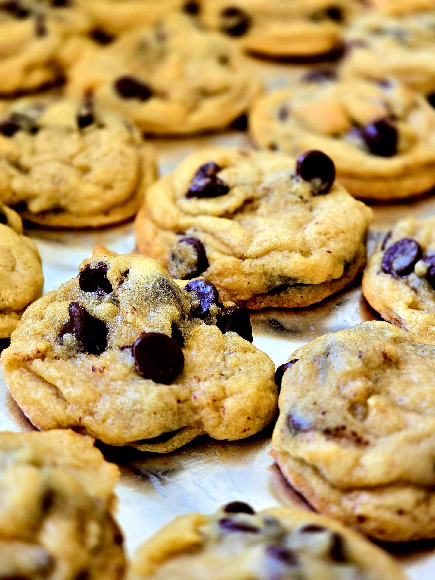 Chocolate Chip (dozen)