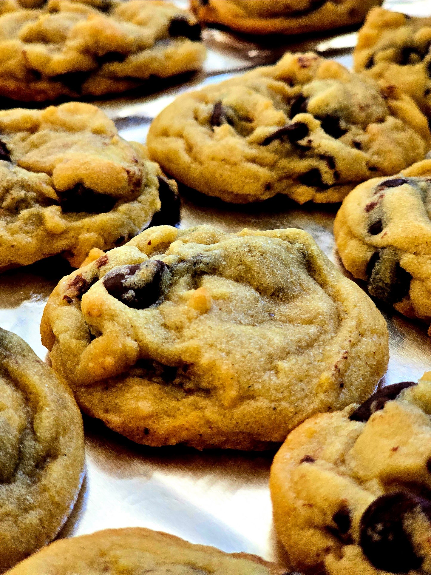 Chocolate Chip (dozen)
