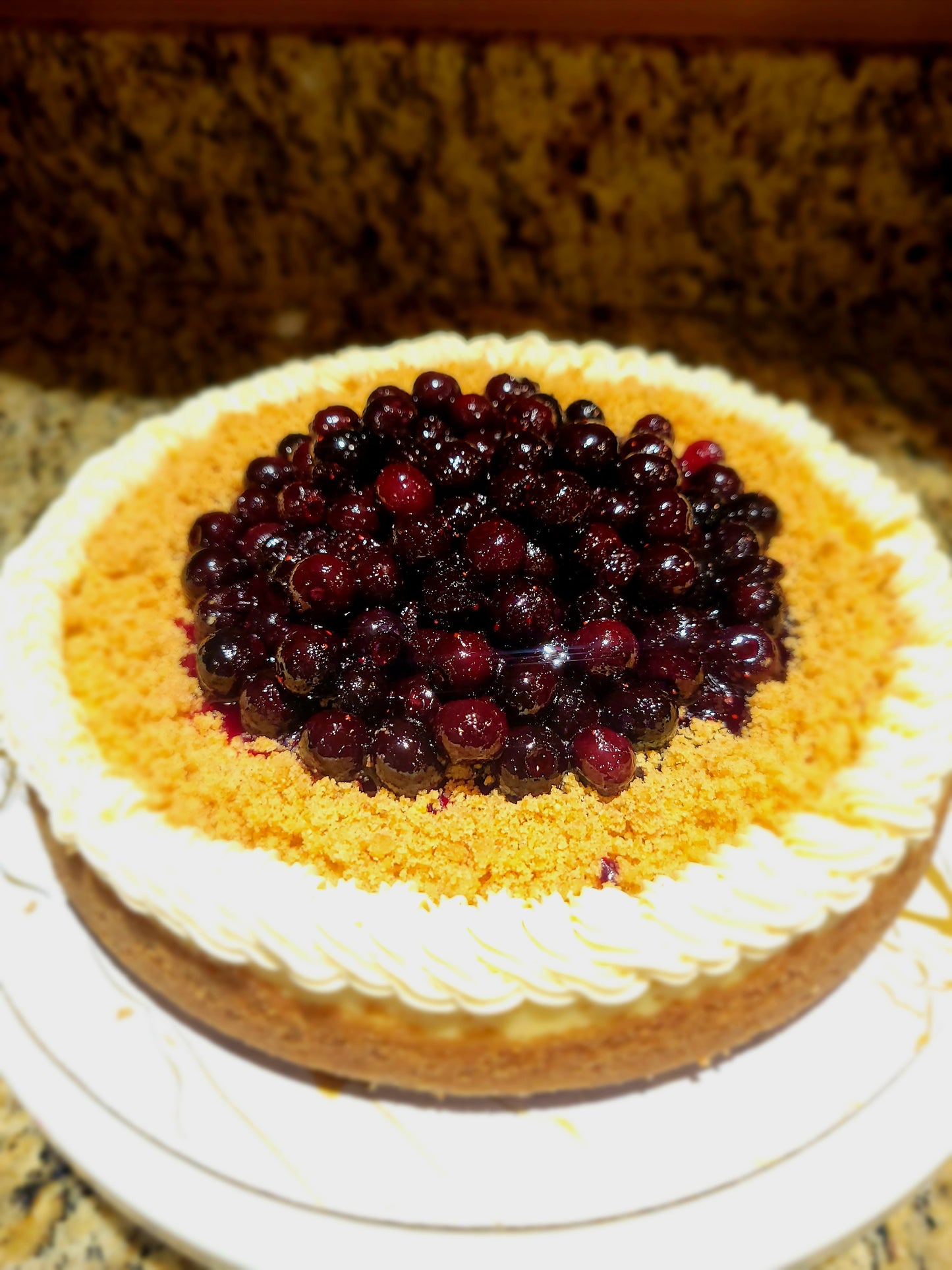 Blueberry Cheesecake with Graham Crust